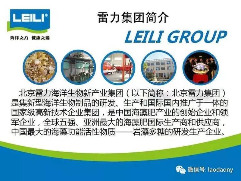 湛江生物科技：未来医药科技的绿色引擎