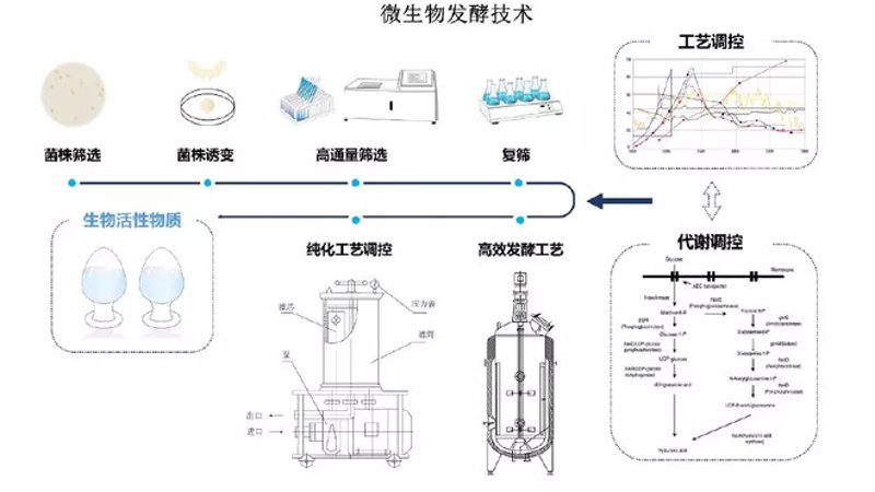 科技与绿色共舞：湛江生物科技行业的最新进展