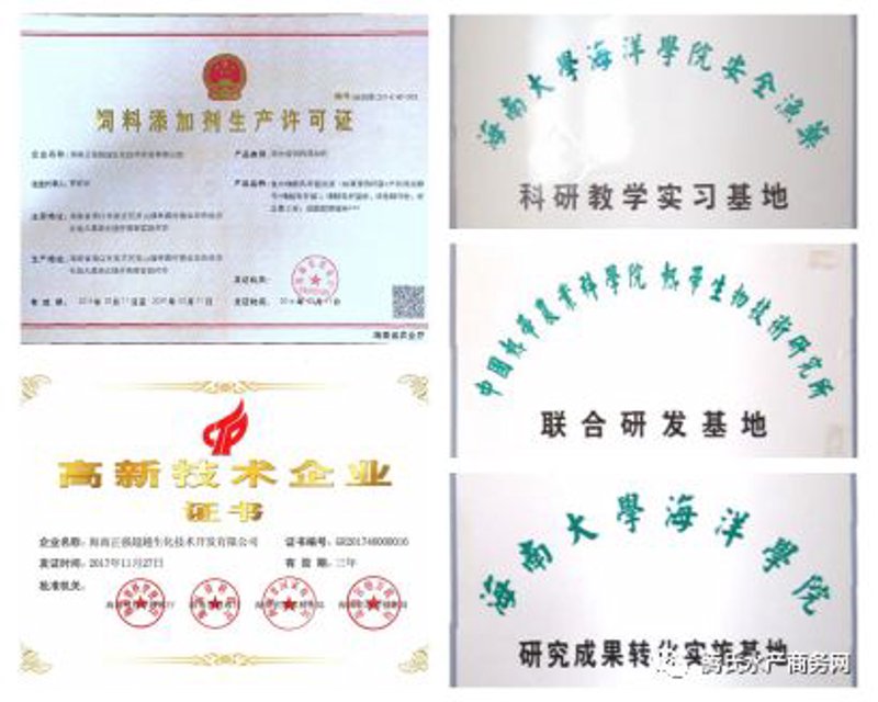 水产养殖行业的动保新技术：守护海洋生命的绿色引擎